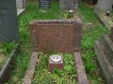 image of grave number 113593